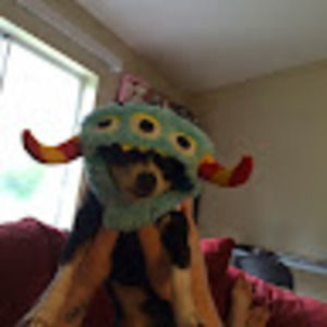 Meet your Posher, Nancy